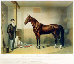 old color print depicting Hambltonian with owner